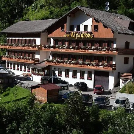 Alpenrose