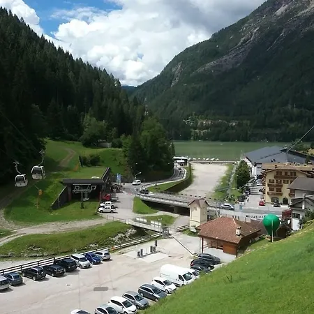 Alpenrose