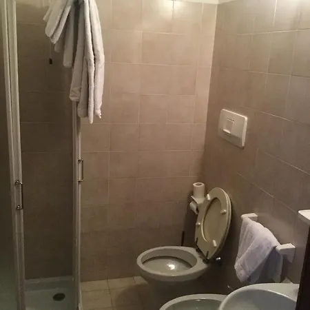 Alpenrose Hotel 3*